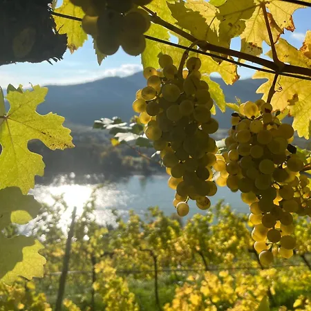 Haus Stierschneider * Spitz an der Donau