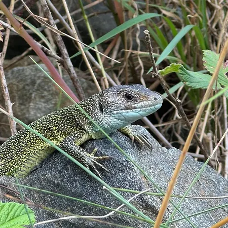 Appartement Haus Stierschneider Spitz an der Donau