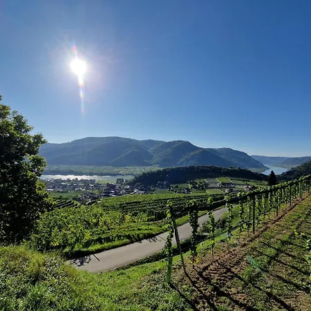 Appartement Haus Stierschneider *