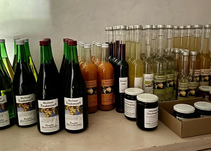 Haus Stierschneider Apartament *