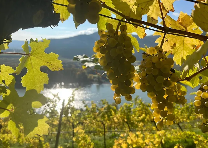 Haus Stierschneider * Spitz an der Donau