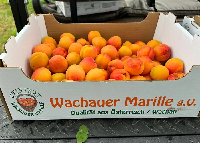 Haus Stierschneider Apartament