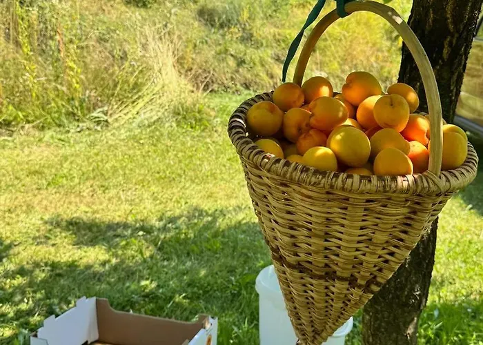 Haus Stierschneider Spitz an der Donau