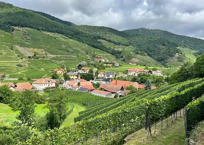 Haus Stierschneider Apartament *